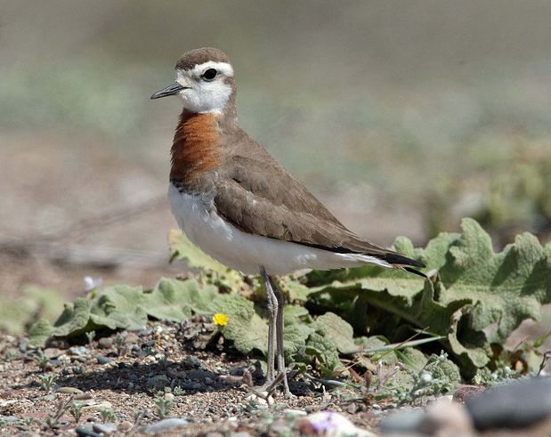 九游体育平台-?A猬癘vJwYK氏n[牴x?認=c?-圭?晿\IB撗