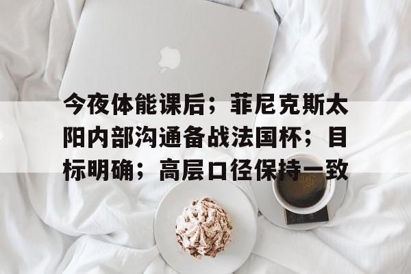 九游体育入口-关于今夜体能课后；菲尼克斯太阳内部沟通备战法国杯；目标明确；高层口径保持一致的信息